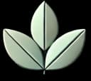 Traditional medicine icon